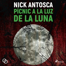 Pícnic a la luz de la luna