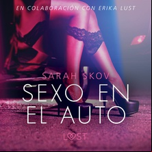 Sexo en el auto - Literatura erótica