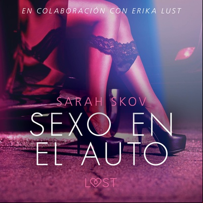 Sexo en el auto - Literatura erótica